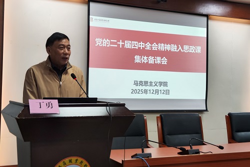 丁勇讲话.jpg